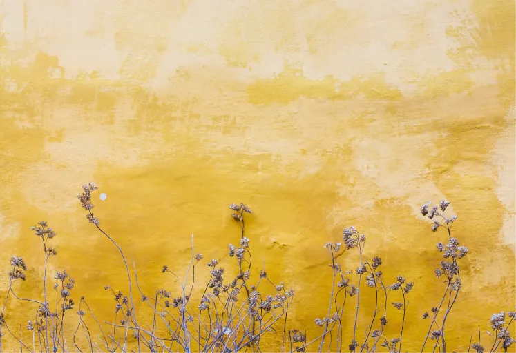 Tunee: The Next-Generation AI Music Agent That Surpasses Traditional Tools